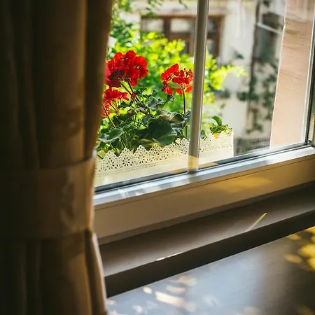 ヴィラ Artcity Villa- Historic In Kapana